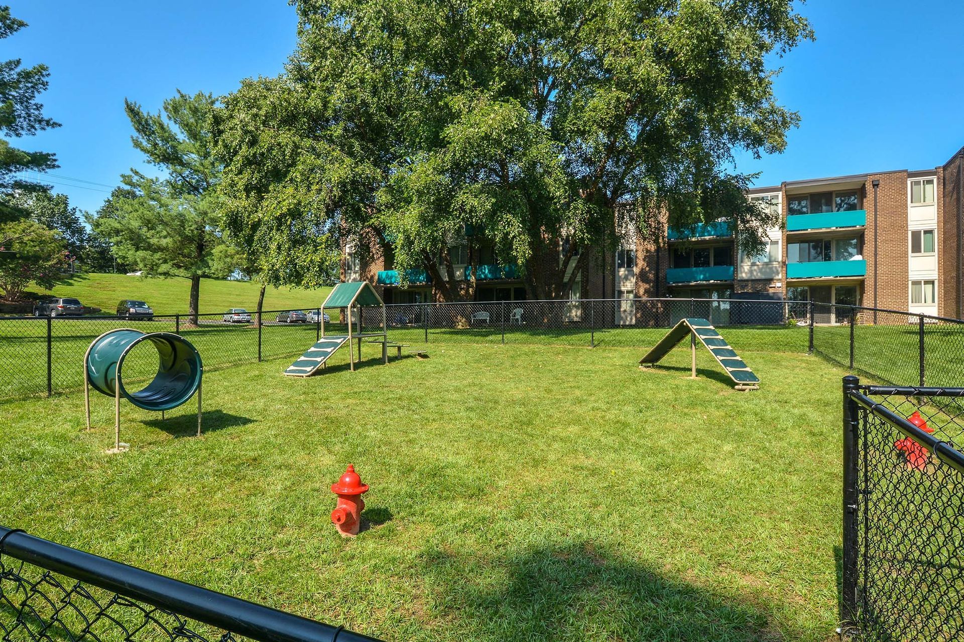 Dog park with agility equipment on green grass, fenced off, with apartment building in the background at Glenmont Station in Silver Spring, MD.