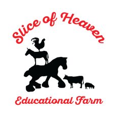 Slice Of Heaven Educational Farm