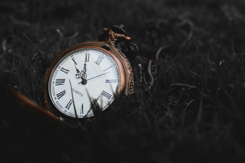 Antique pocket watch in grass, hands near 12 o'clock, with a brass frame.
