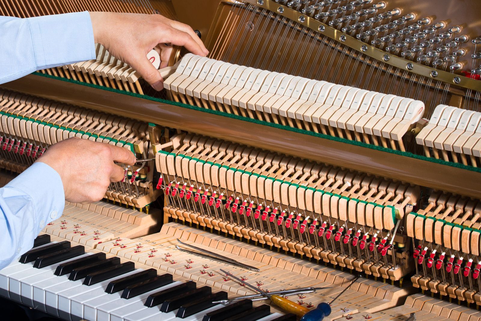 A man is working on the inside of a piano.