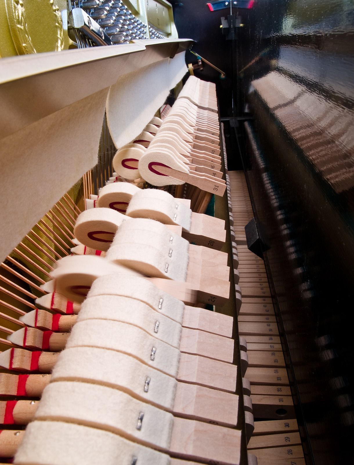 A close up of the inside of a piano with the letter c on the keys