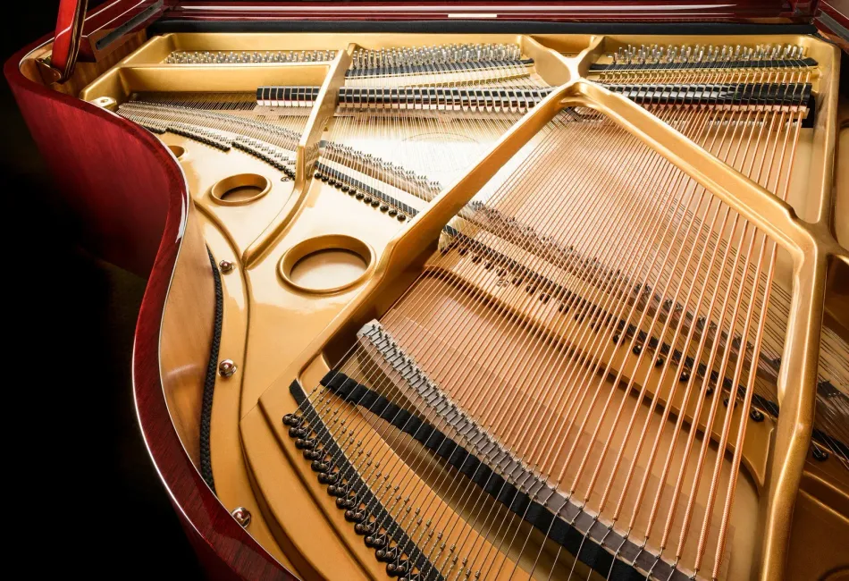 A close up of the inside of a grand piano