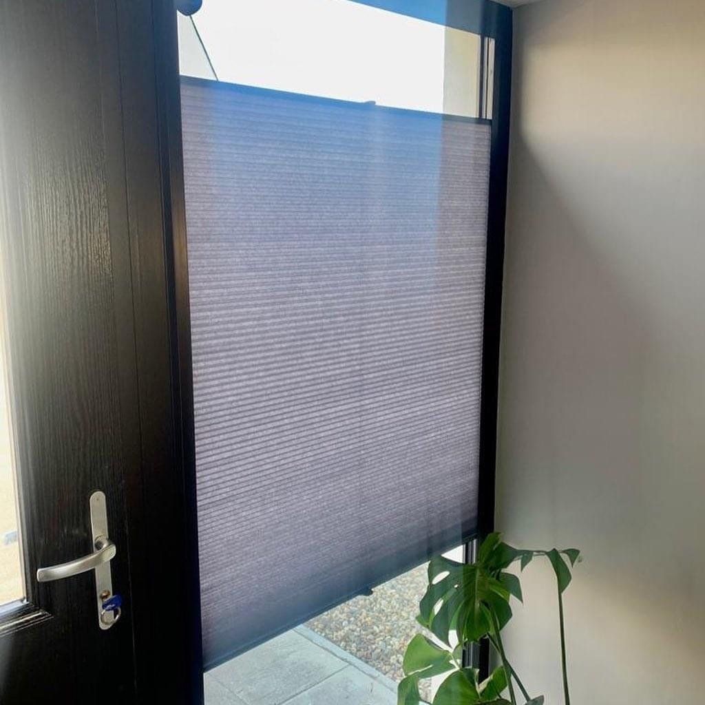 A window with blinds on it and a plant in front of it.