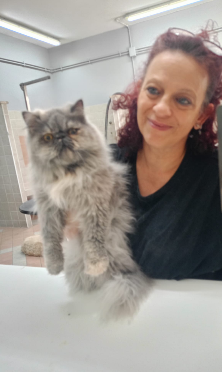 Una donna tiene in braccio un soffice gatto persiano grigio in una stanza dalle superfici bianche;