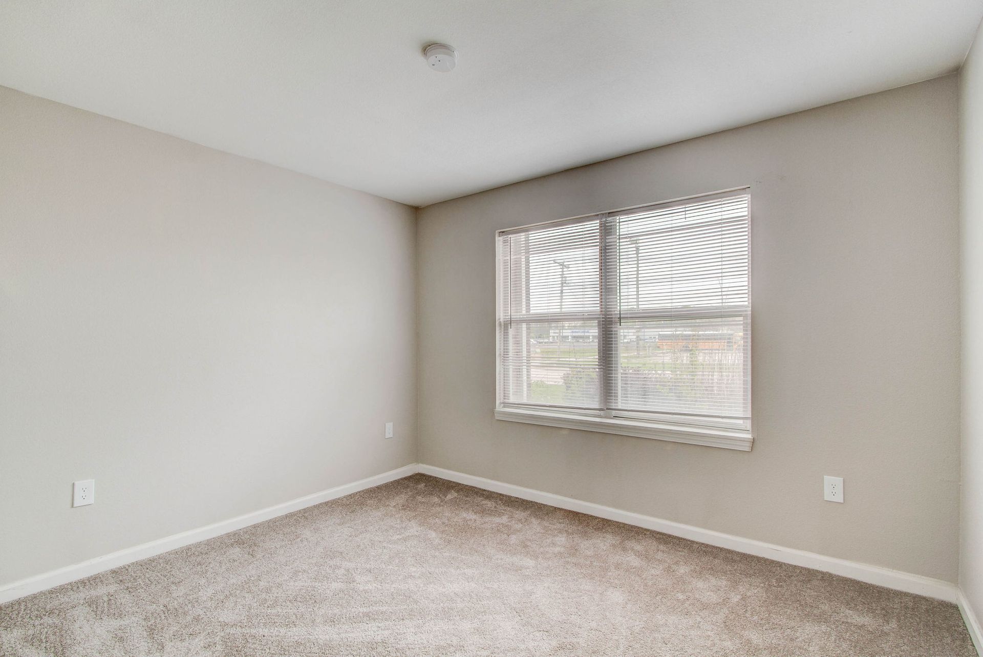Empty room with carpet flooring, a window, and light gray walls.