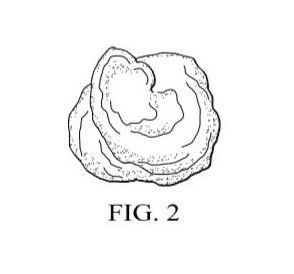a black and white drawing of a rock with the words fig 2 below it .