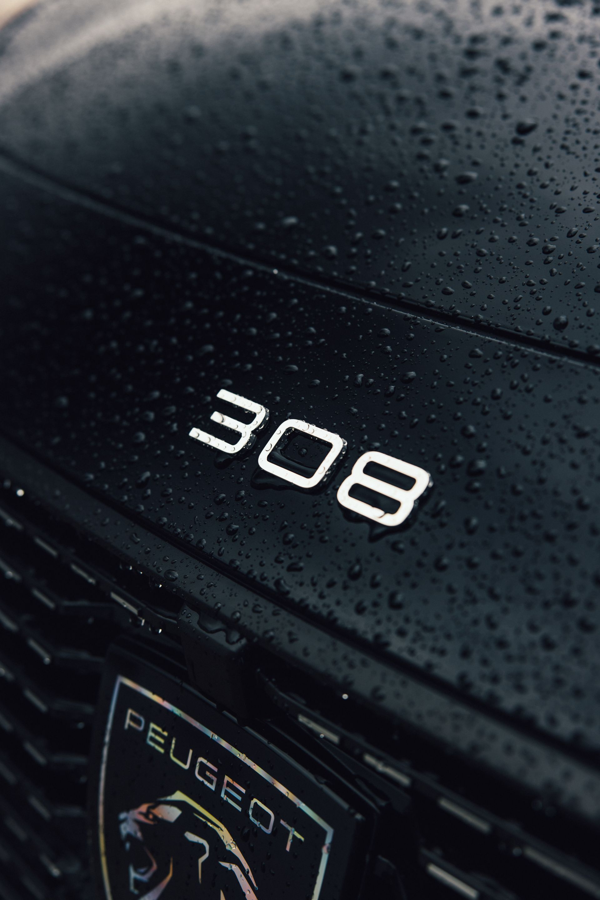Peugeot 308 Garage des Ilettes
