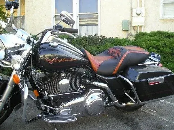A harley davidson motorcycle is parked in front of a house