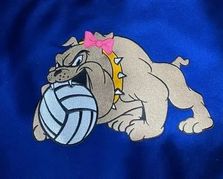 A bulldog with a pink bow on its head is holding a volleyball.