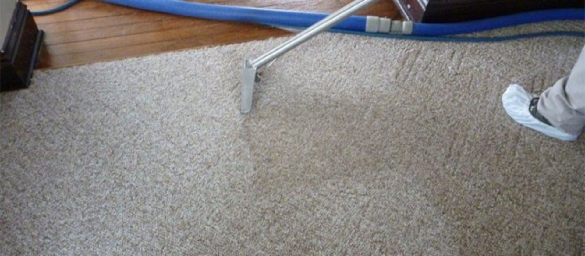 A person is cleaning a carpet with a vacuum cleaner.
