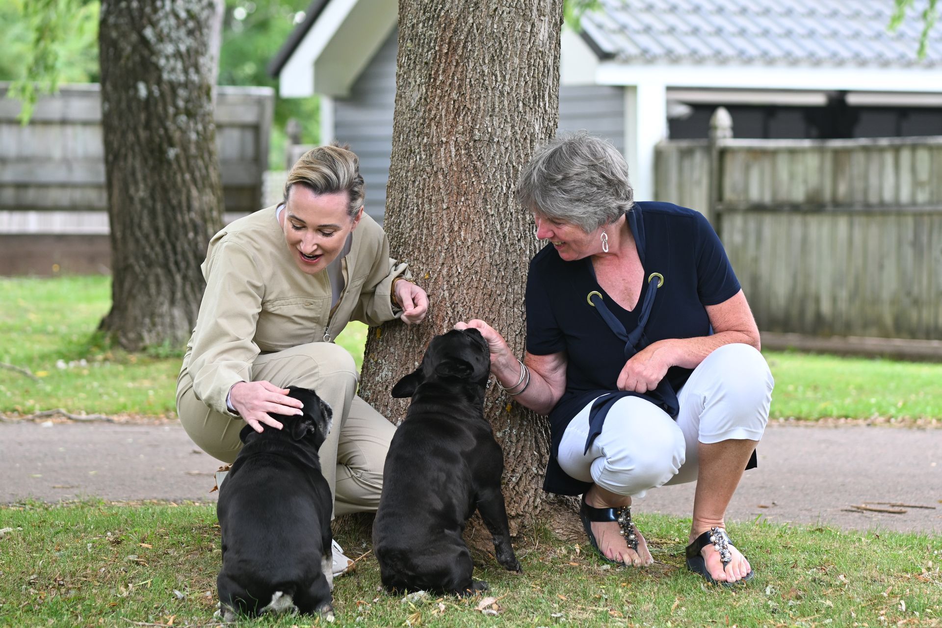 Two women petting two black dogs near a tree in a grassy area.
