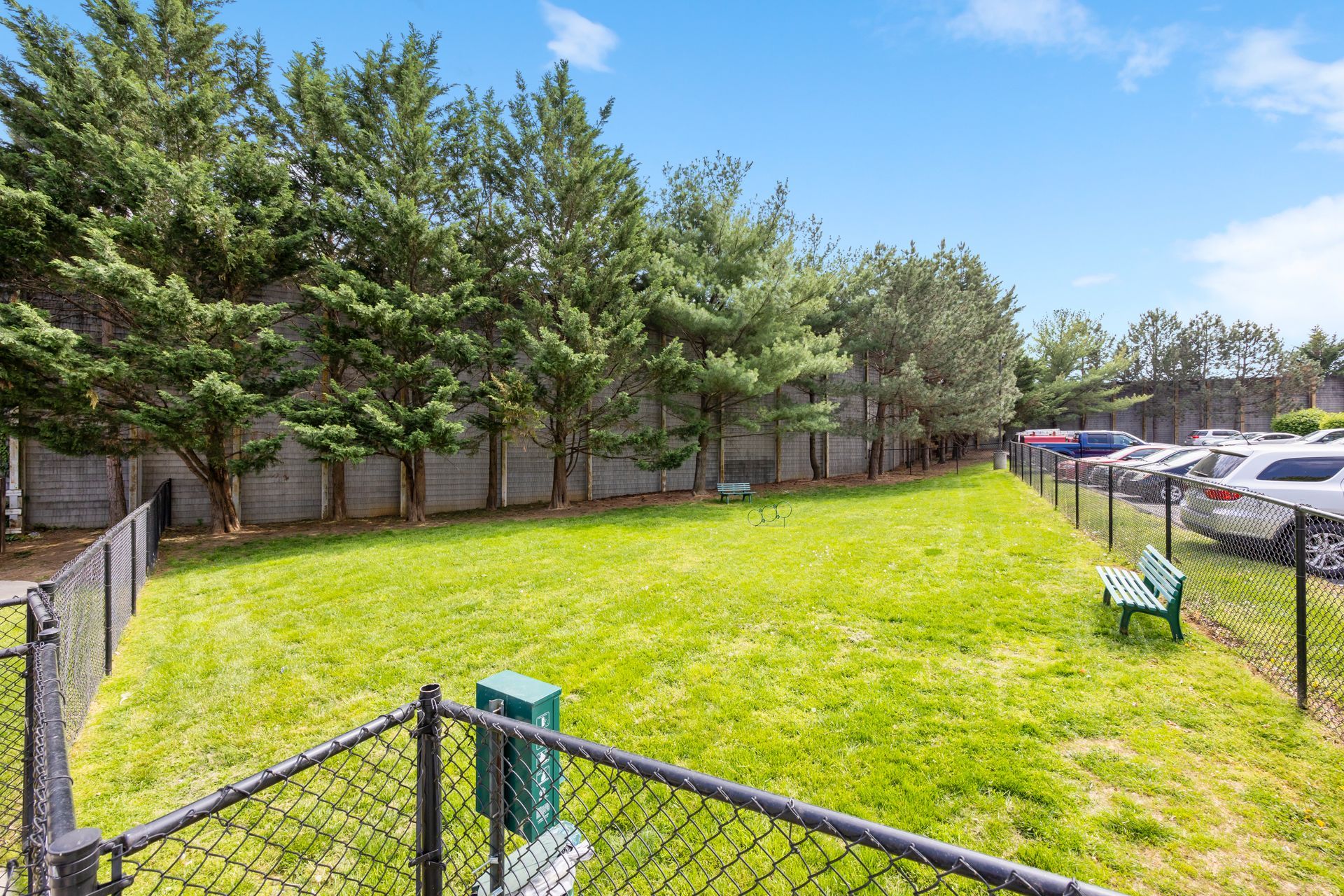 A dog park with a chain link fence and trees in the background.