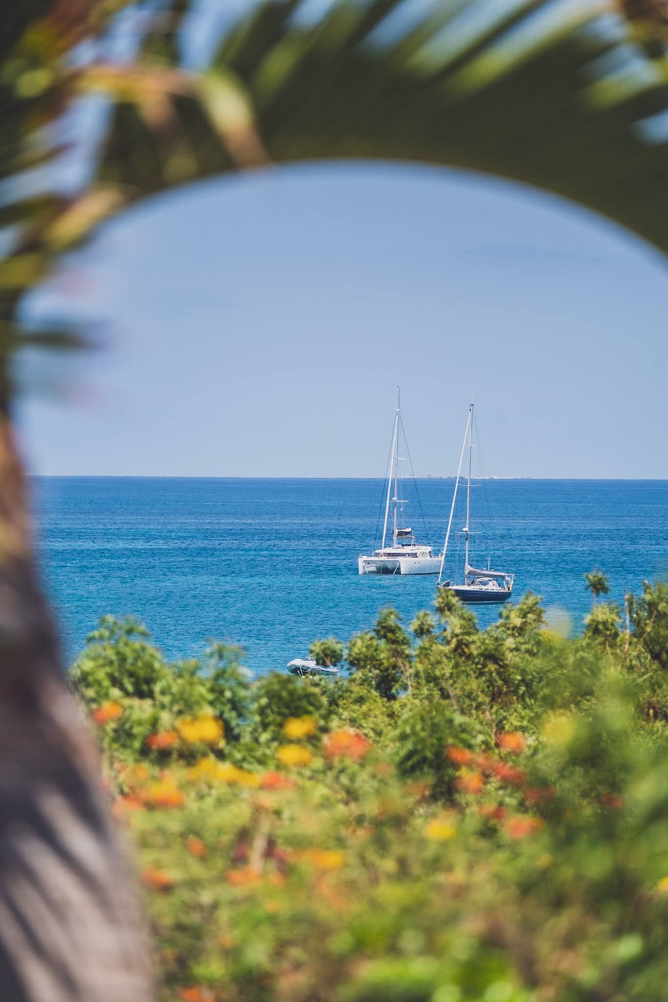 Two sailboats on a bright blue ocean, framed by green foliage and a palm tree, under a clear sky.