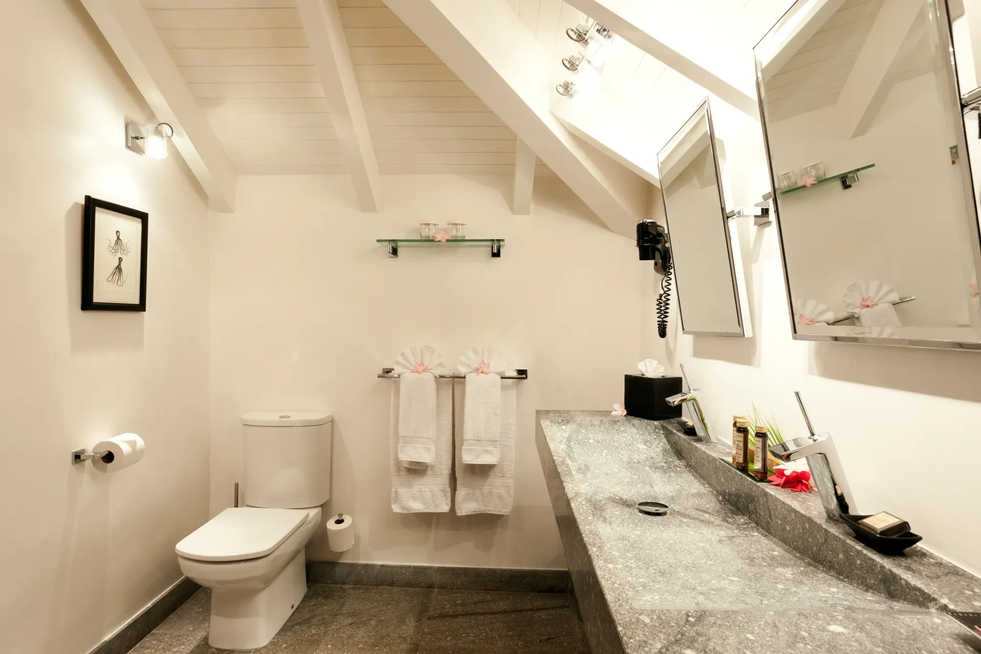 Bathroom with a white toilet, a long stone countertop with a sink, and mirrors.