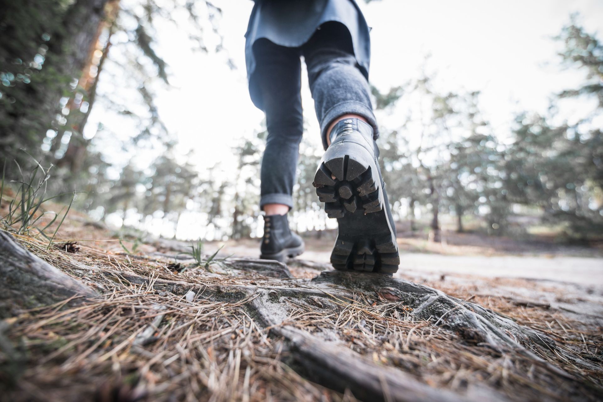 A person is walking on a path in the woods.