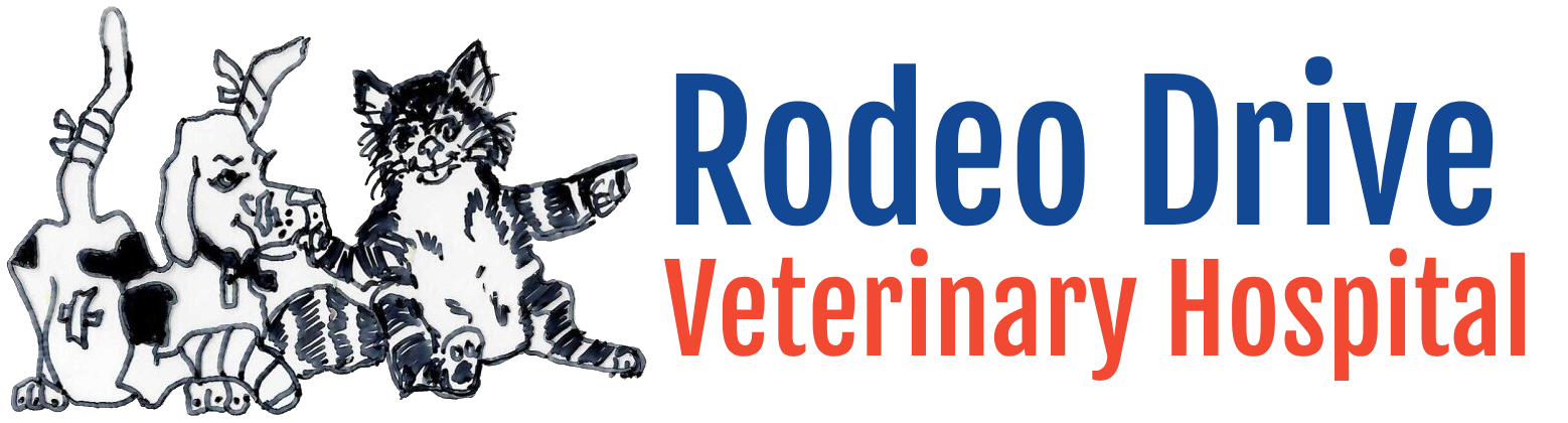 Rodeo Drive Veterinary Hospital