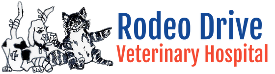 Rodeo Drive Veterinary Hospital