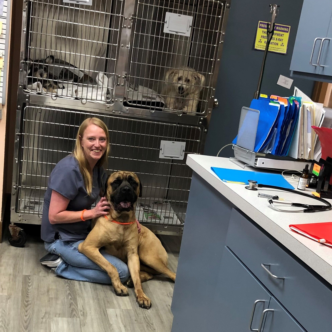 A woman is kneeling down next to a dog in a veterinary office.