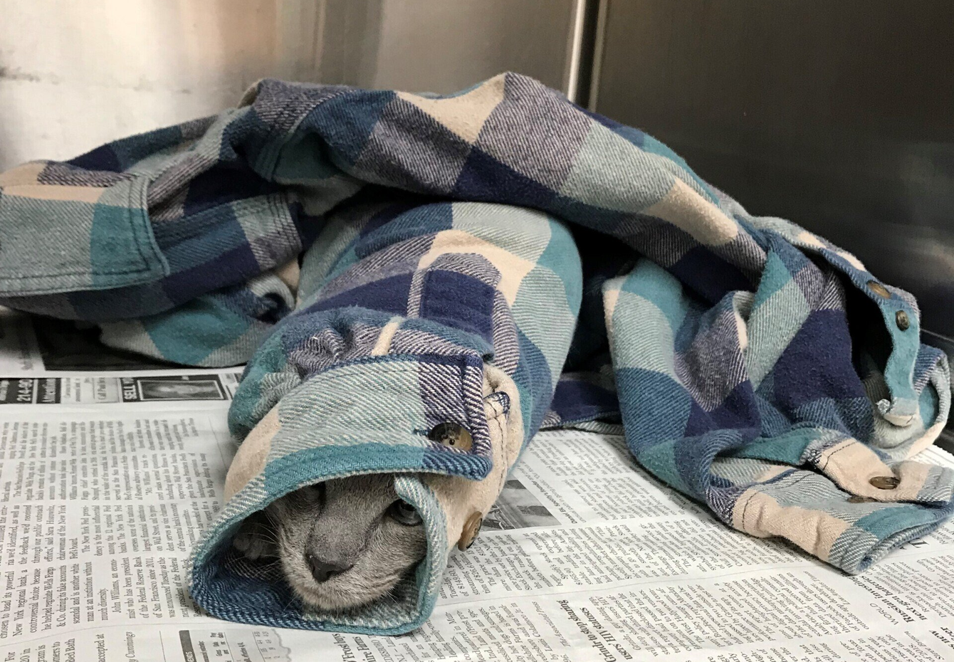 A plaid shirt is laying on top of a newspaper.