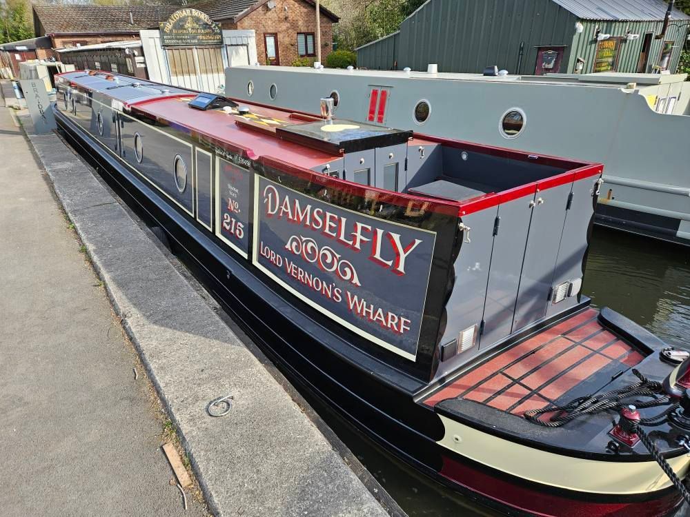 Damselfly stern view