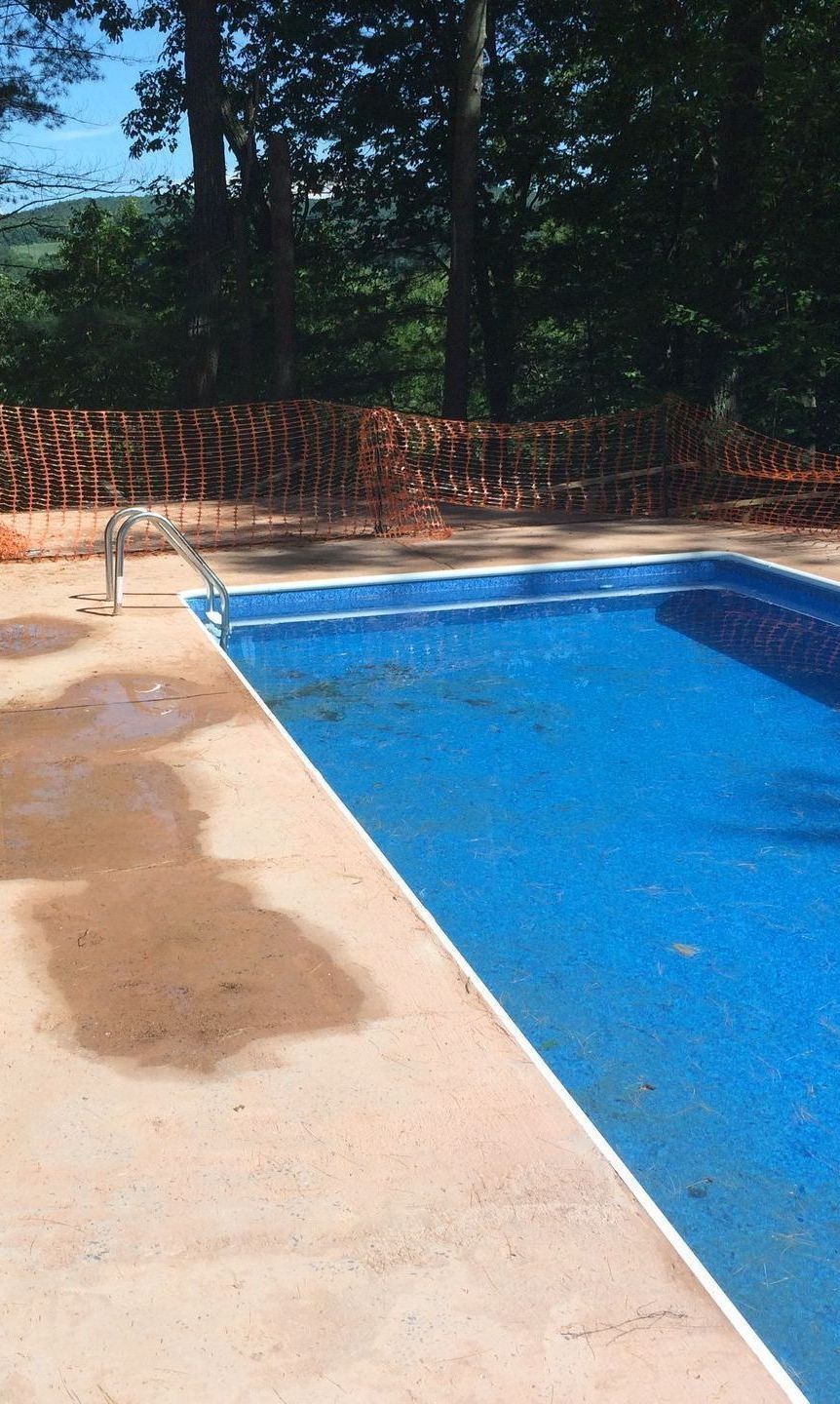 A large blue swimming pool is surrounded by trees