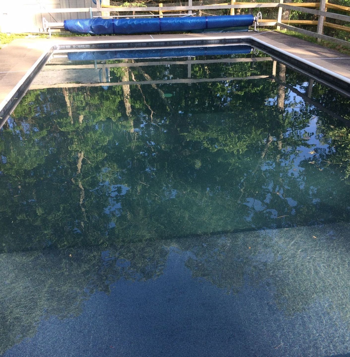 A large swimming pool with trees reflected in the water