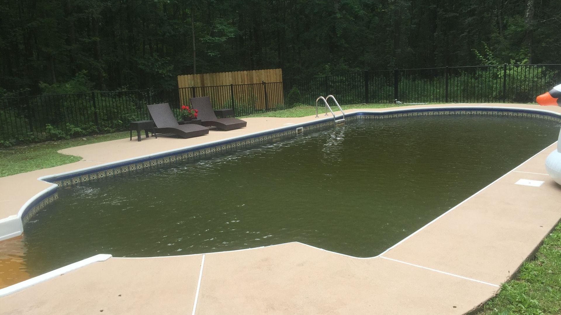 A swimming pool with a lot of green water in it.