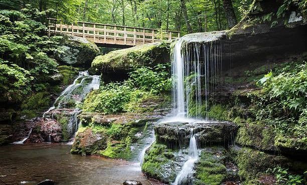 A waterfall in the middle of a forest with a bridge in the background.