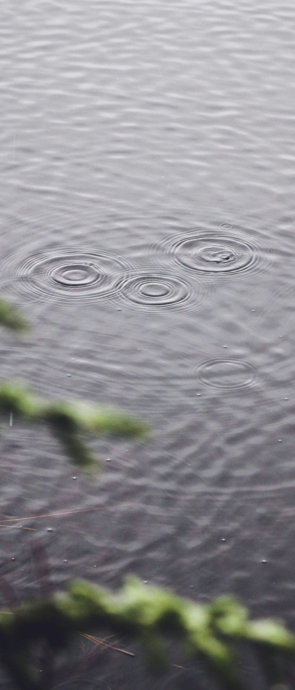 A close up of a body of water with a branch in the foreground.