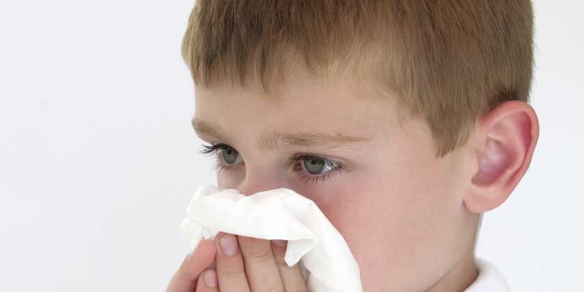 Un niño pequeño se suena la nariz con una servilleta.
