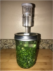 garlic scapes and brine in mason jar with fermentation airlock