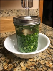 fermenting garlic scapes in bowl on kitchen counter