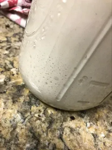sourdough starter with bubbles in glass jar