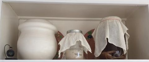 sourdough starters in glass jars and covered in cheesecloth