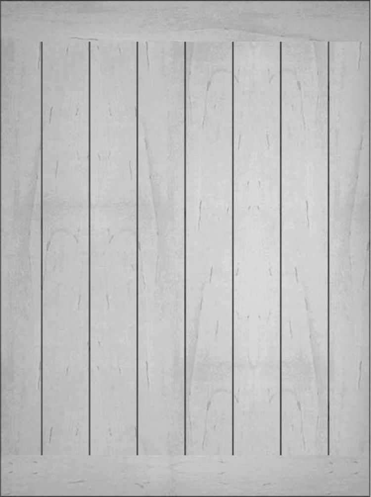 Light-colored wooden door panel with vertical grooves.