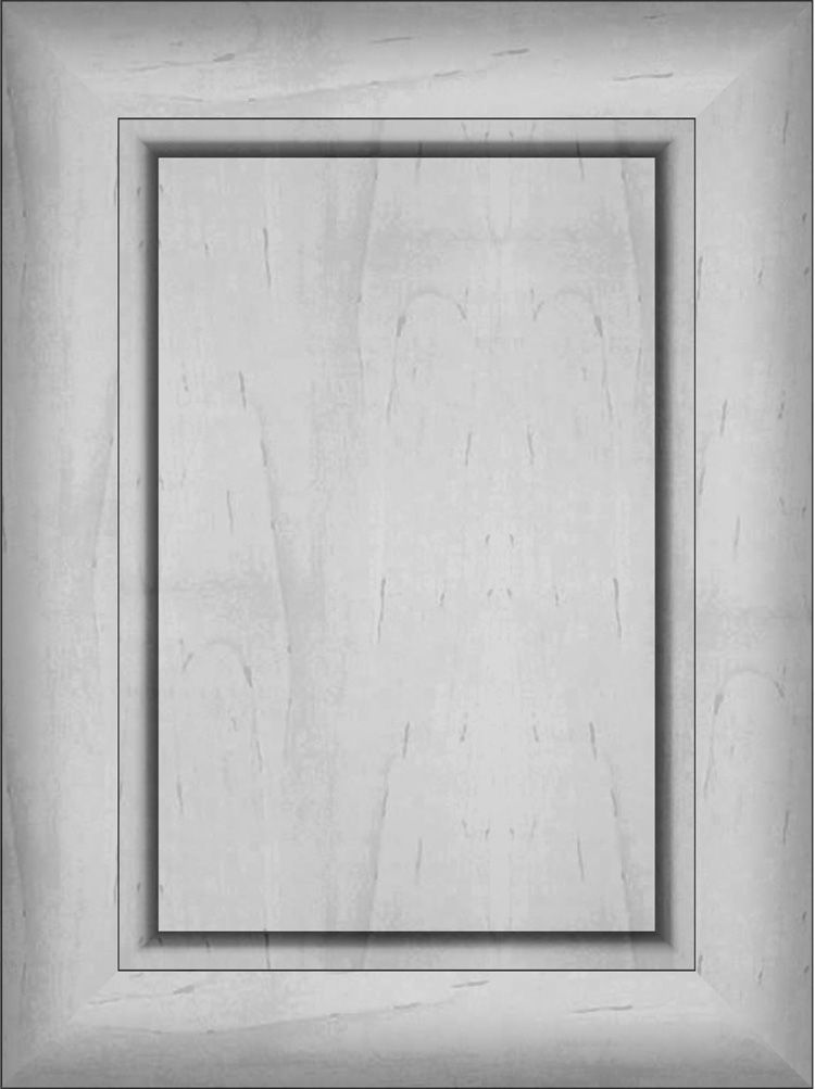 A light gray cabinet door with a recessed center panel and framed edges.