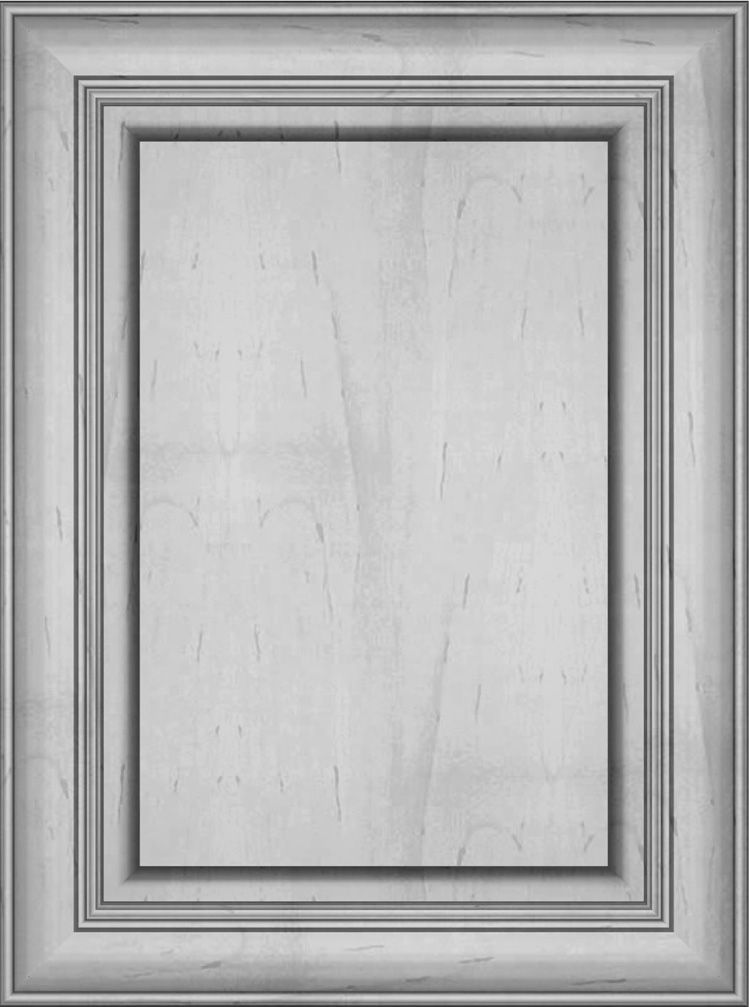 Gray-toned cabinet door with a raised, rectangular center panel framed by decorative molding.