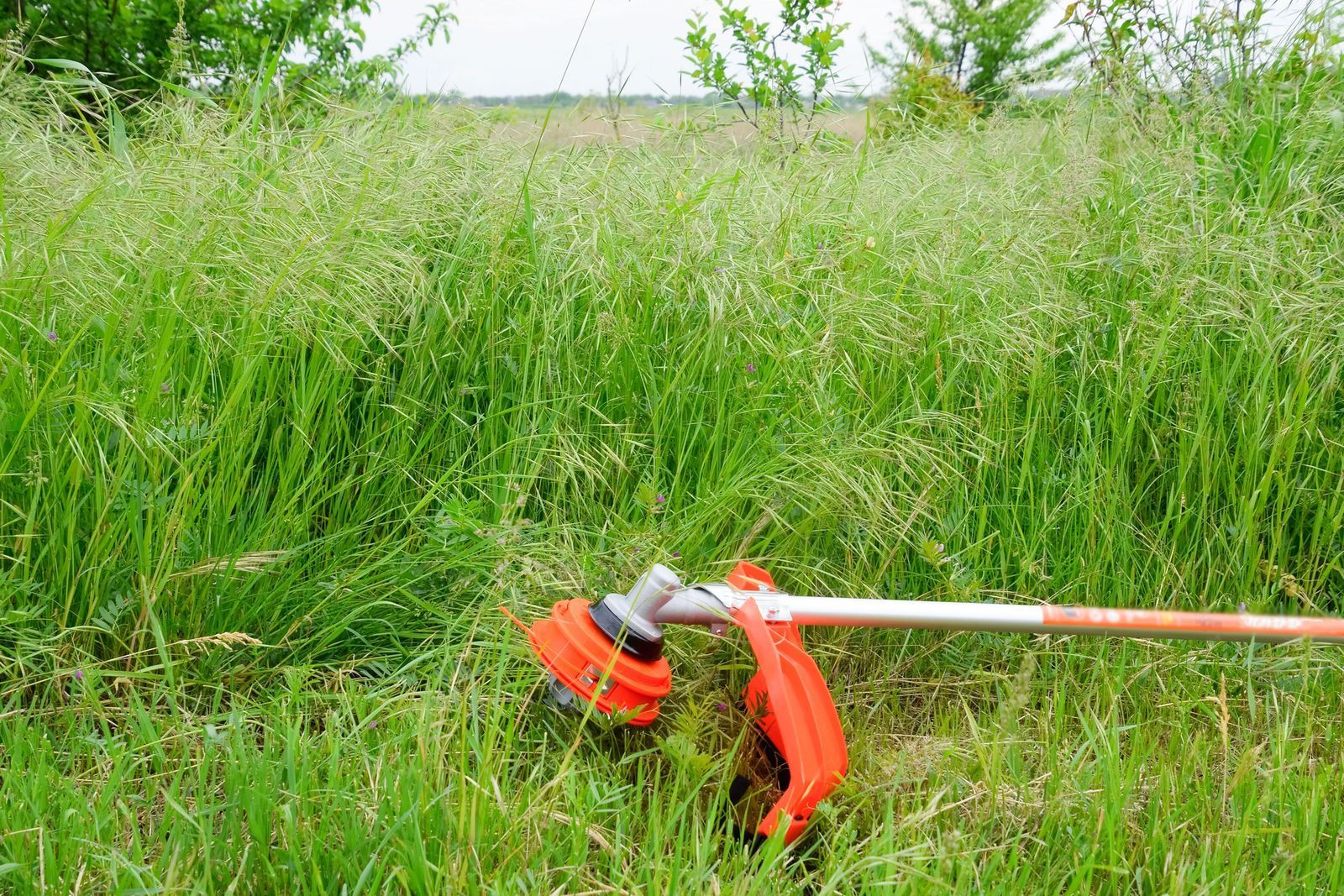 Orange weed whacker resting in tall green grass.