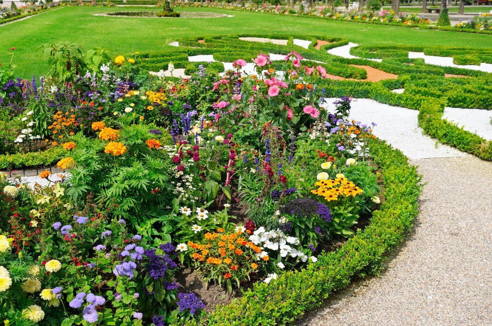 Colorful flower garden with neatly trimmed green hedges.