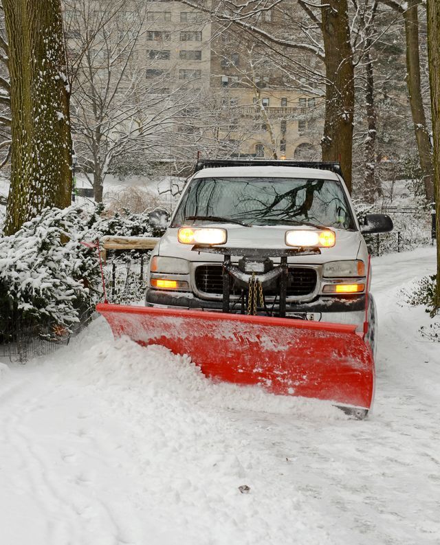 Snowplow clearing snow on a path in a park with trees.
