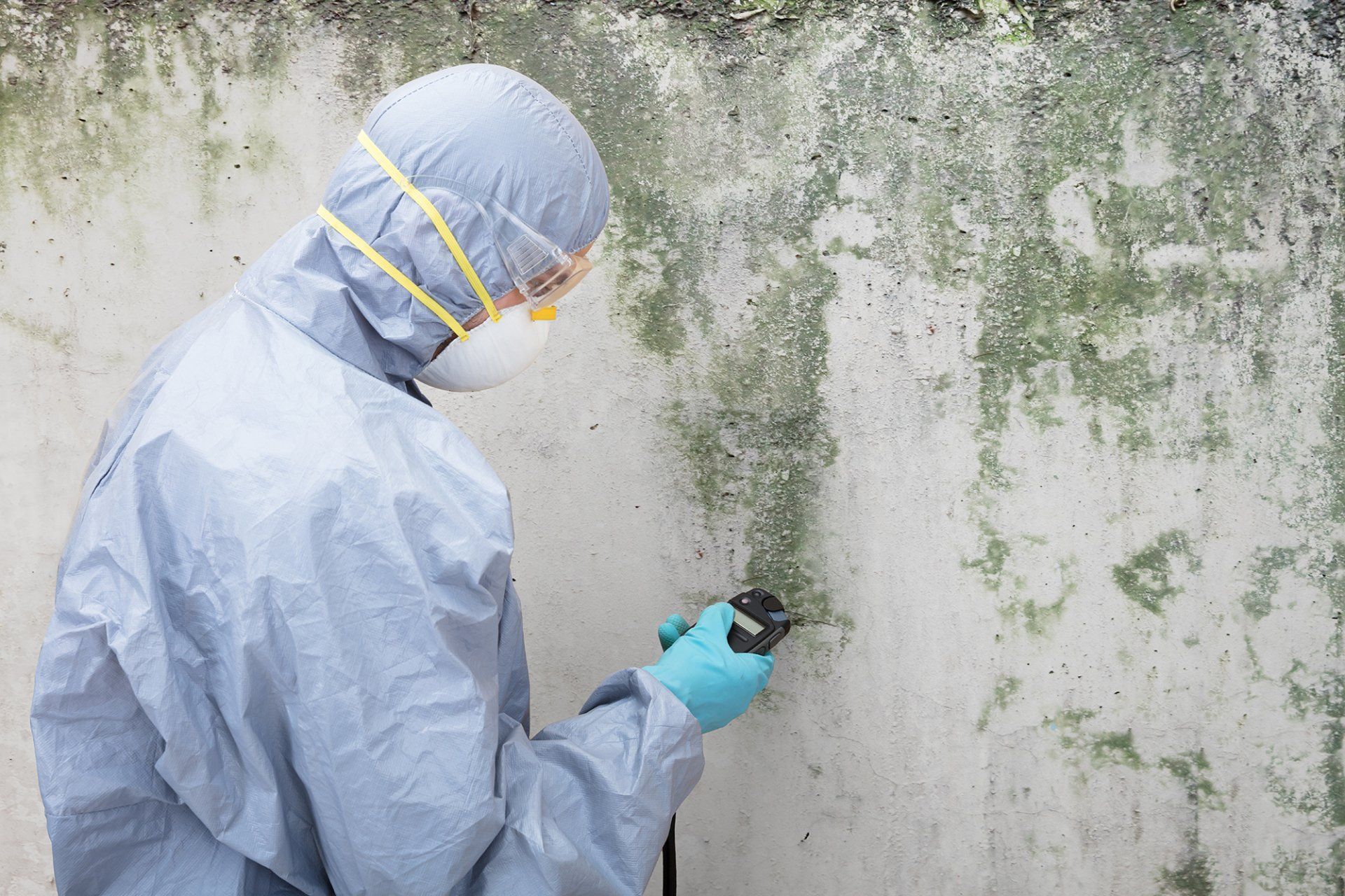 Pest Inspections — Hornsby, NSW — Apex Pest Pty Ltd