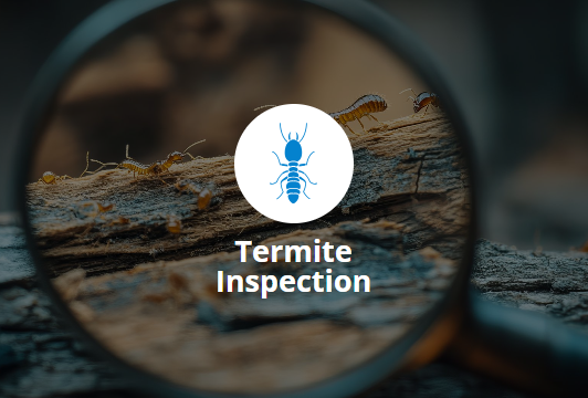 Magnifying glass over termites on wood with a Termite Inspection icon.