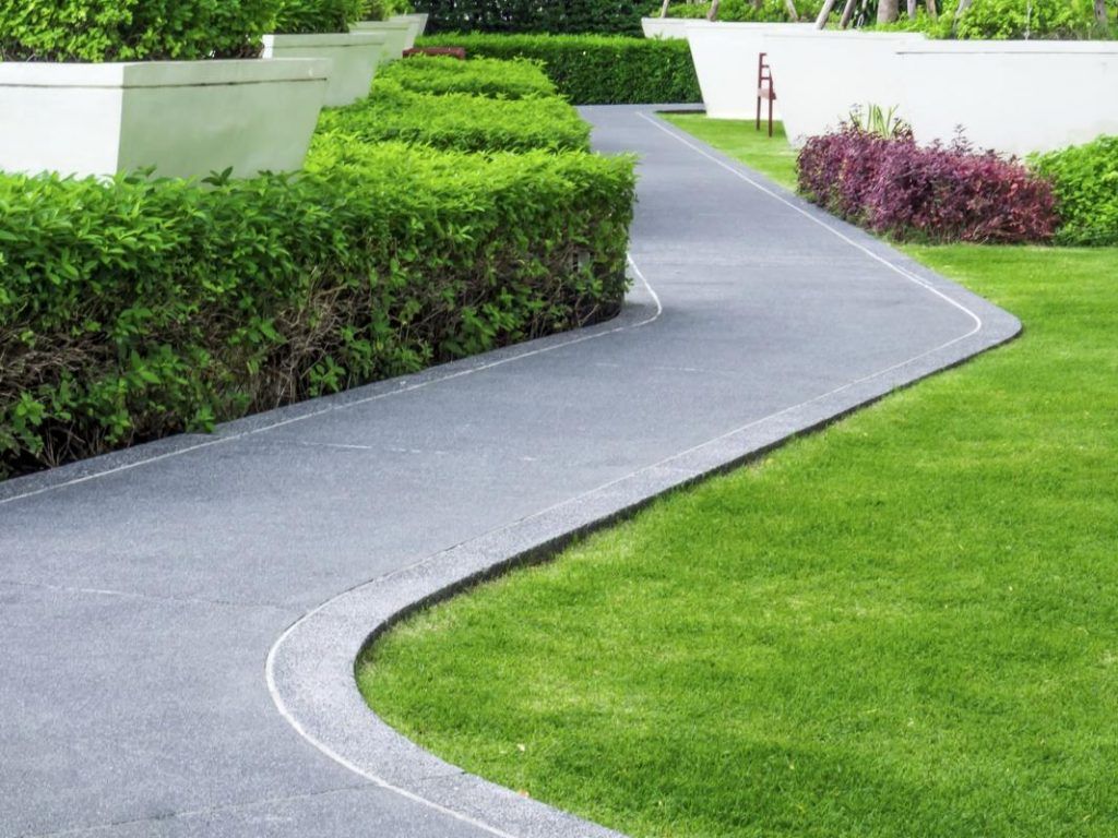 A curved driveway going through a lush green garden.