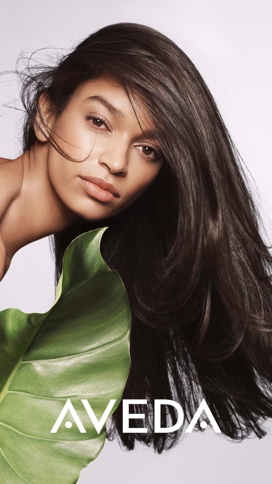 nuovo botanica repair