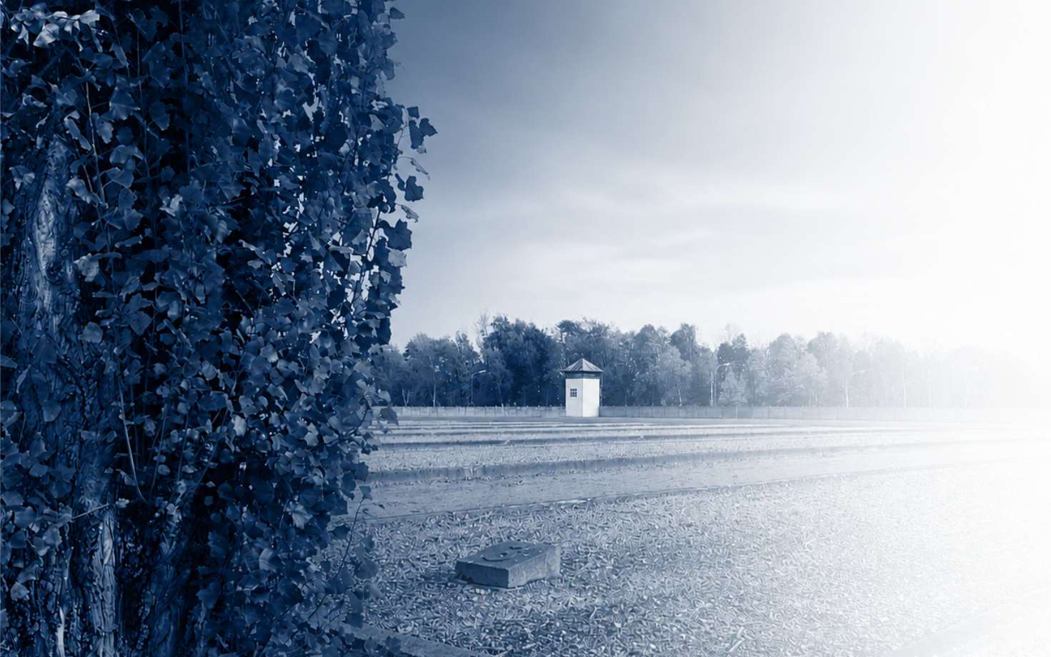 Camp background