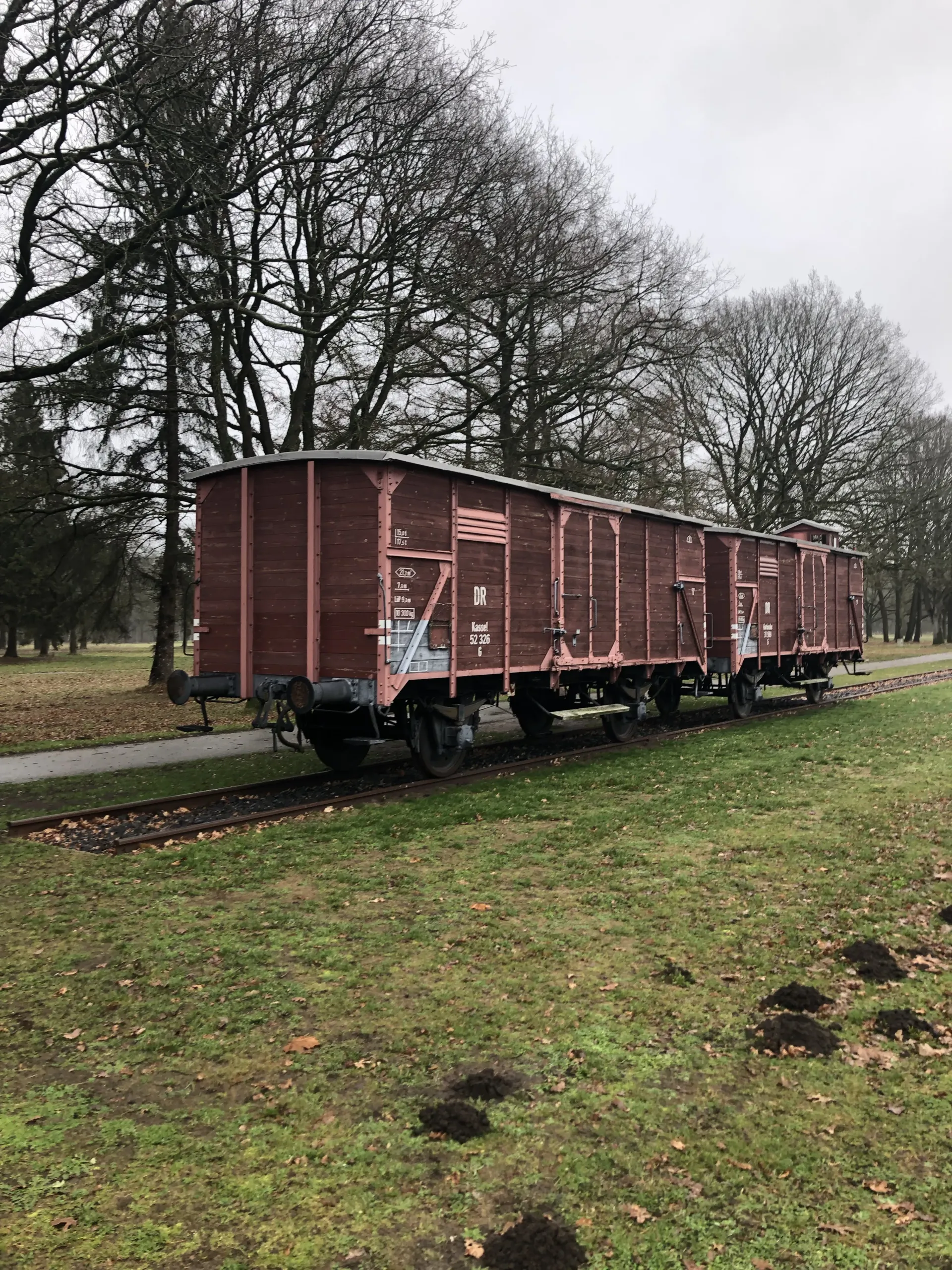 Wagons in kamp Westerbork