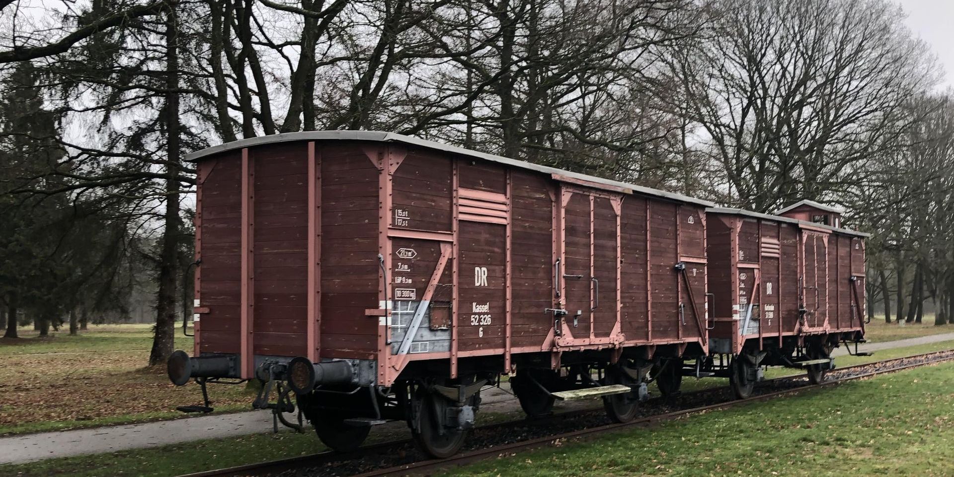 Een rij treinwagons staat naast elkaar geparkeerd in een park.