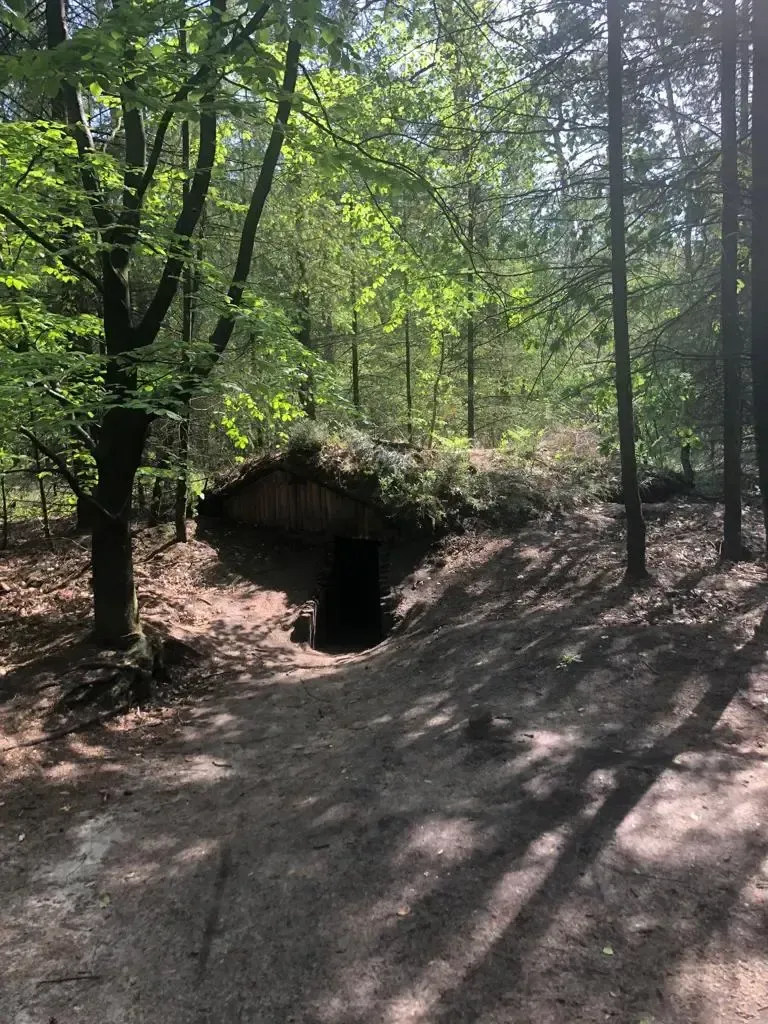 A small cave in the middle of a forest surrounded by trees.