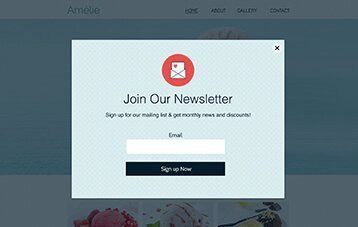 newsletter signup
