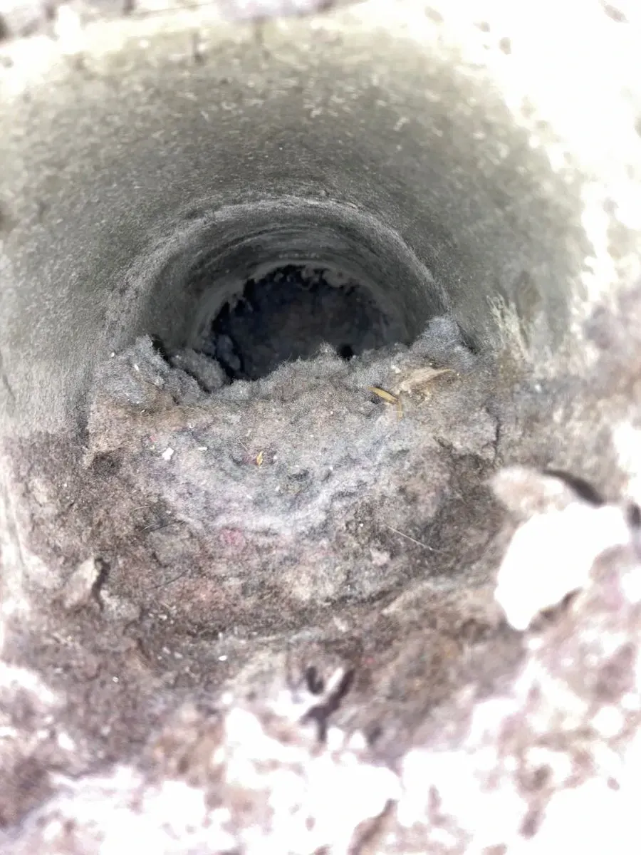 A lot of lint build-up in a dryer vent